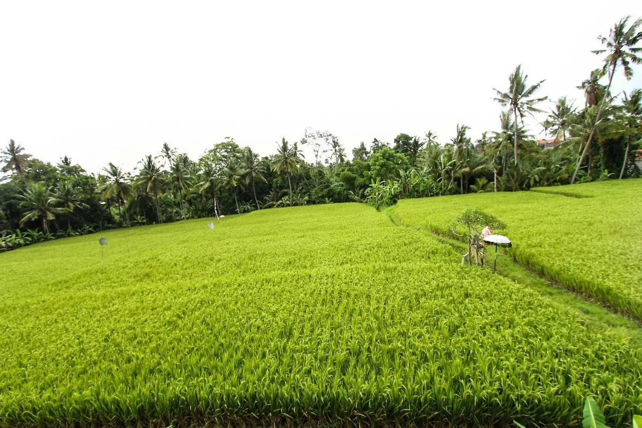 Holiday park Ubud Hidden Villa Yone Village